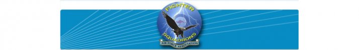 Fighter Squadrons
