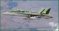 Airforce Association NSW Hornet photo gallery - 77 SQN Hornet